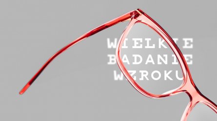 Wielkie Badanie Wzroku: Polacy le oceniaj stan swojego wzroku, a po zakupie okularw wzrasta ich komfort ycia