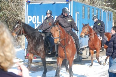 Tomaszw: Sprawdzian policyjnych koni