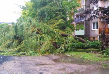 W Piotrkowie i okolicach może mocno wiać