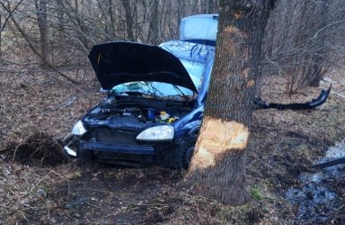 Kierowca opla uderzył w drzewo, bo na jezdnię wyskoczył dzik 