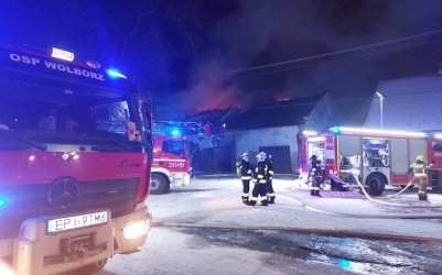 Pożar w Stadzie Ogierów w Bogusławicach