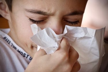 Znaczny wzrost zachorowa na gryp w naszym regionie