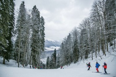 Zimowe szaleństwo na nartach