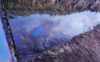 Zanieczyszczenie w jednej z piotrkowskich rzek