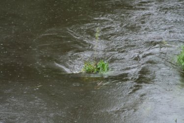 Sytuacja powodziowa w regionie piotrkowskim