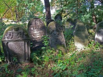 Piotrkw: Robi porzdki na cmentarzu ydowskim