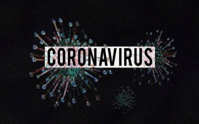 Łódzkie: cztery nowe potwierdzone przypadki koronawirusa (stan na niedzielę)