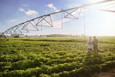 Rolnictwo regeneracyjne odpowiedzi PepsiCo na aktualne zagroenia dla wiatowego systemu ywnociowego