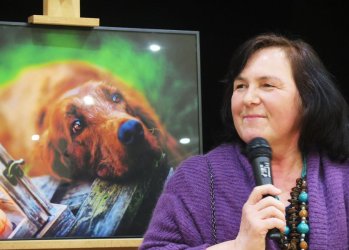 Psie i kocie portrety w OEA