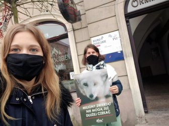 Aktywiści również w Piotrkowie przypominają o „piątce dla zwierząt”