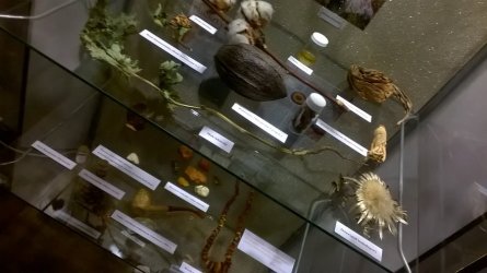 Aptekarska wystawa w piotrkowskim Muzeum