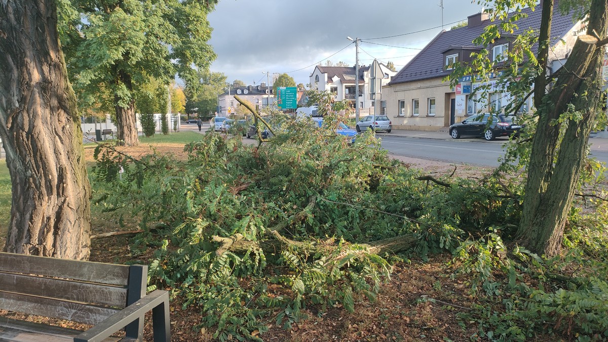 Galeria Po Ar Zerwane Linie I Po Amane Drzewa Wichura Nad Piotrkowem