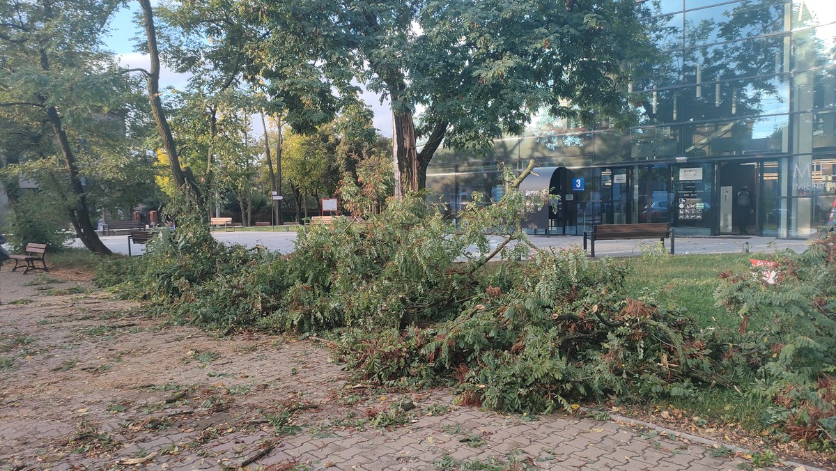 Galeria Po Ar Zerwane Linie I Po Amane Drzewa Wichura Nad Piotrkowem