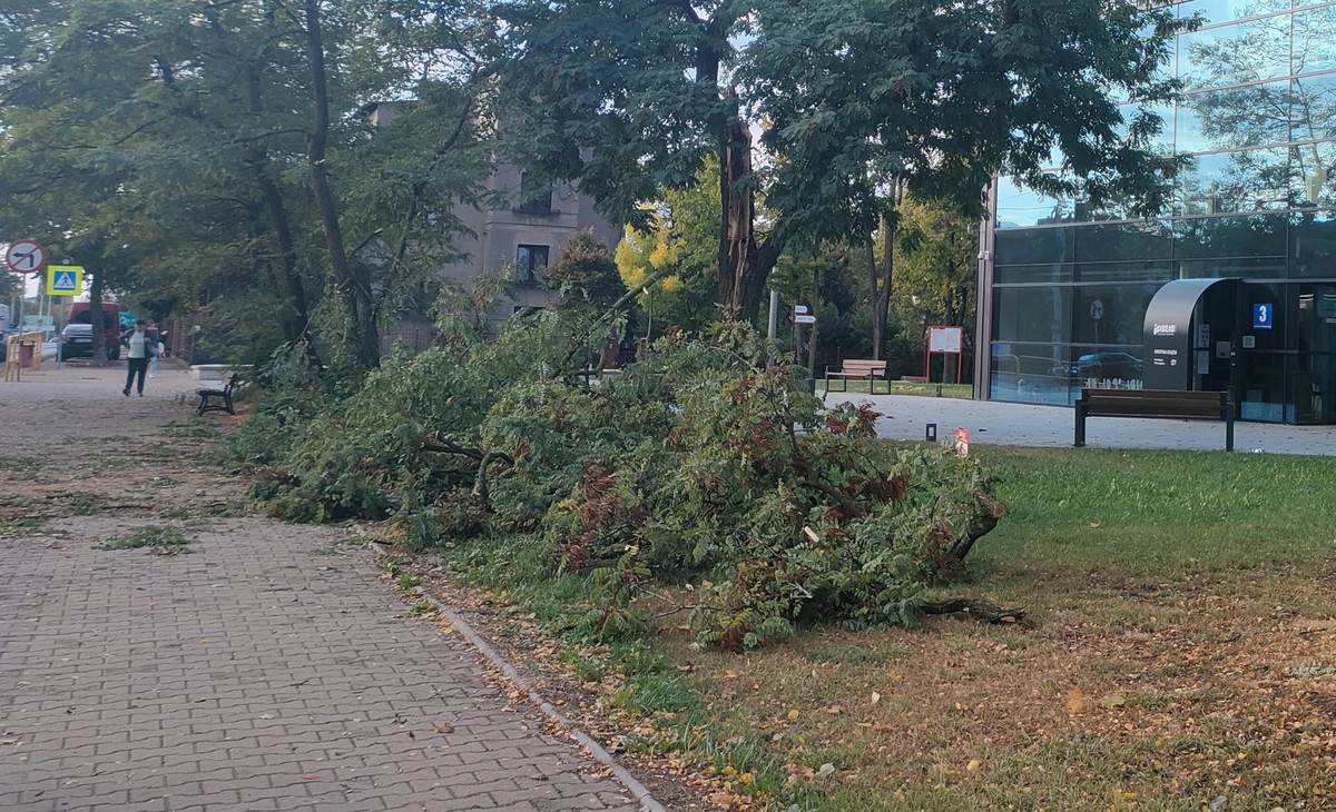 Galeria Po Ar Zerwane Linie I Po Amane Drzewa Wichura Nad Piotrkowem