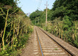 https://upload.wikimedia.org/wikipedia/commons/thumb/c/cb/Heracl_sosn_railway_kz.jpg/1280px-Heracl_sosn_railway_kz.jpg
