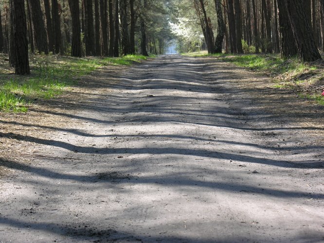 Region:  Dzi otwarcie cieki rowerowej w Spale