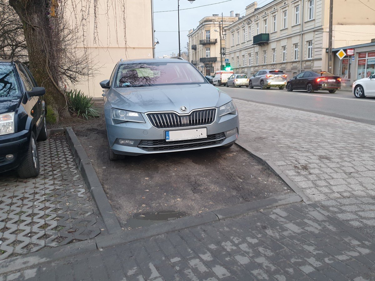 Trawnik czy klepisko? Problem z parkowaniem na Wojska Polskiego