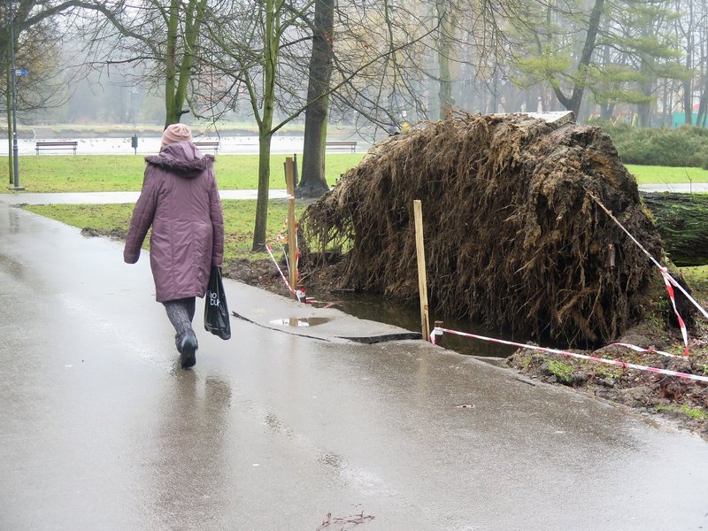 Park zdewastowany, posprzta nie mona