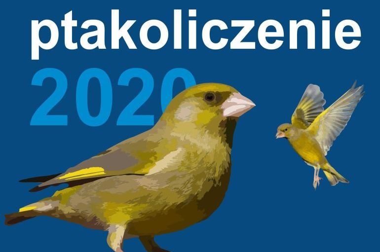 Zimowe ptakoliczenie 2020. We udzia w wycieczce terenowej