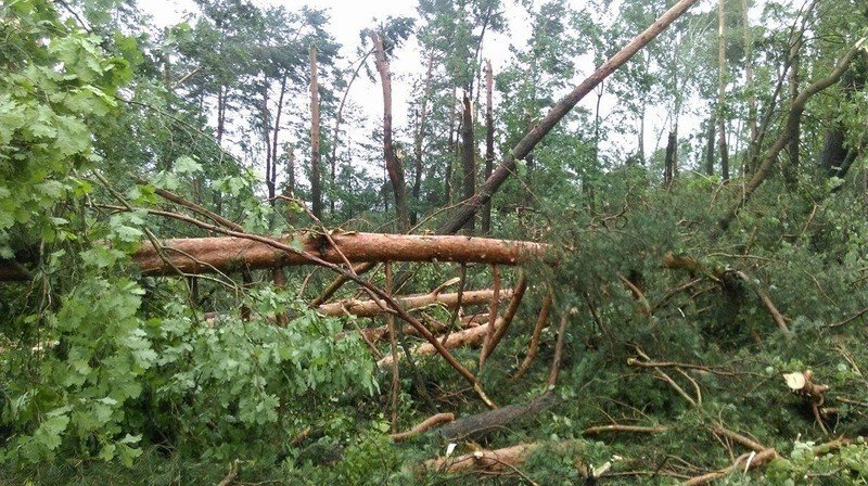 Poamane drzewa i zerwane linie energetyczne 