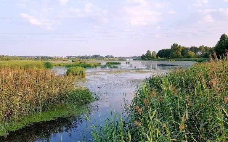 Поприбираймо околиці Пьотркува разом