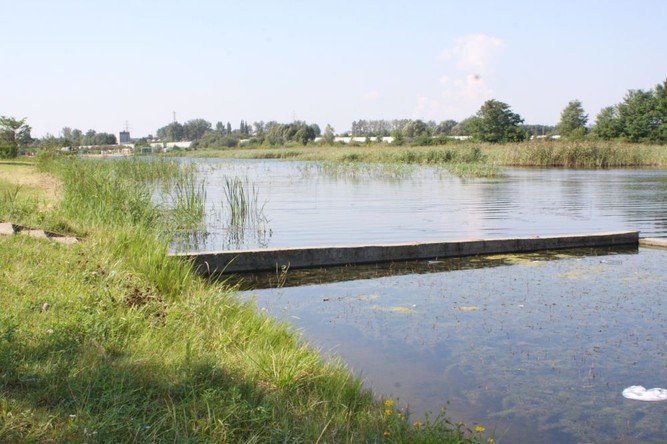 Wadze miasta nie pomogy zagospodarowa terenw przy Bugaju?