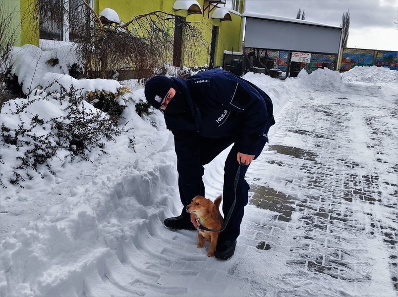 Policjanci odwiedzili piotrkowskie schronisko