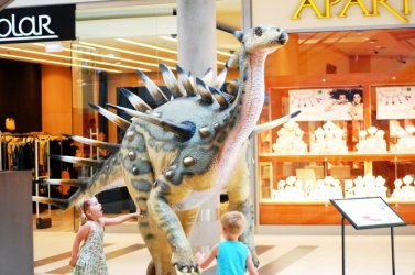 Piotrkw: Dinozaury w Focus Mall