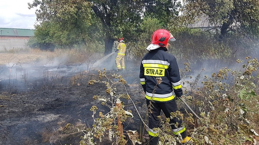 Kolejny poar trawy w naszym regionie