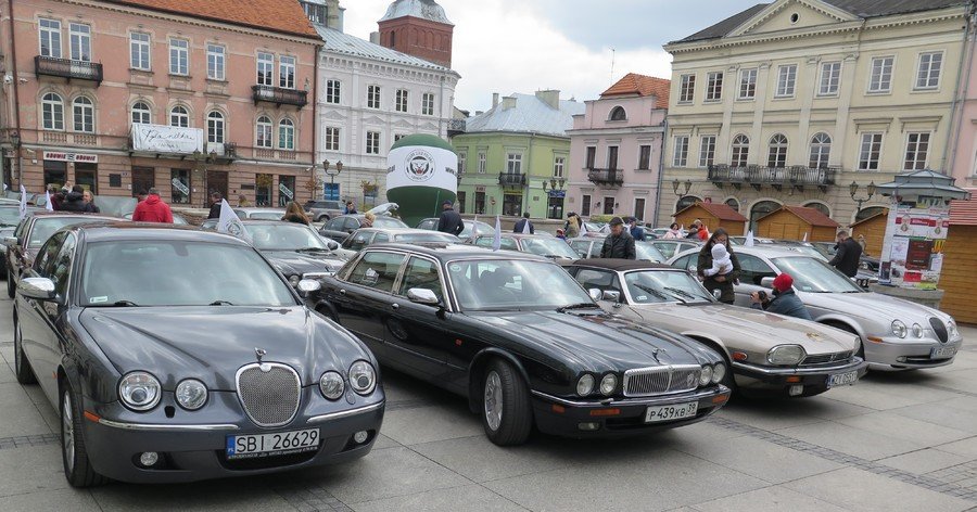 Jaguary opanoway Rynek Trybunalski