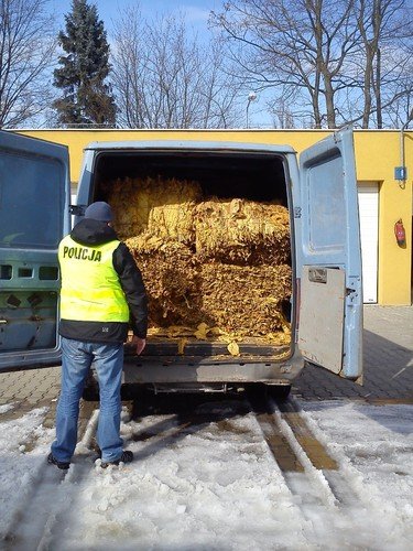 Przewozi prawie 400 kg lici tytoniu 