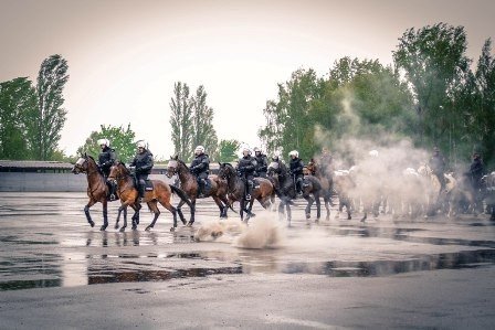 7 rumakw z Tomaszowa z nowym atestem