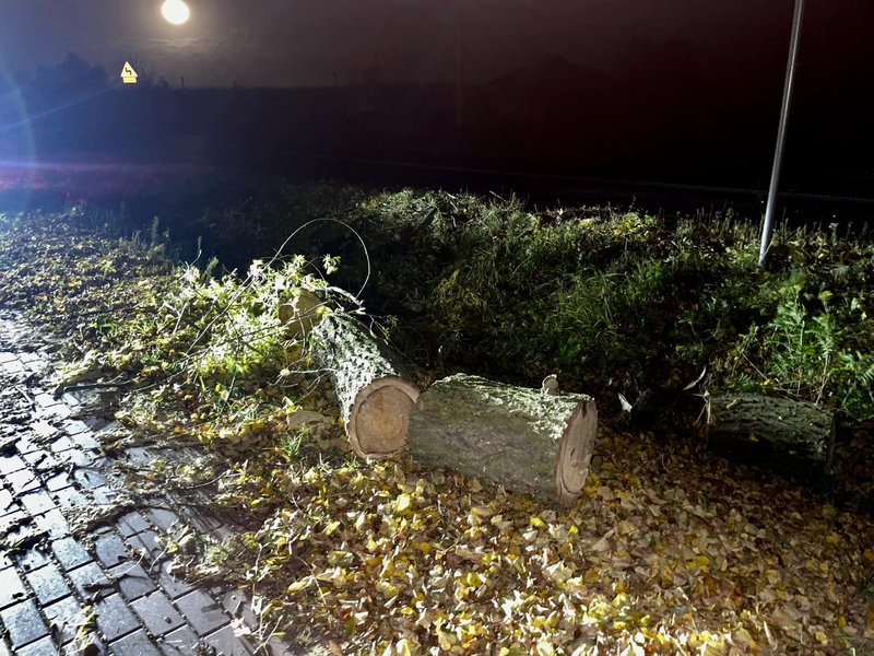 Brak prdu i poamane drzewa. Straacy usuwali skutki silnego wiatru