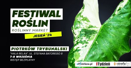 FESTIWAL ROLIN W PIOTRKOWIE TRYBUNALSKIM