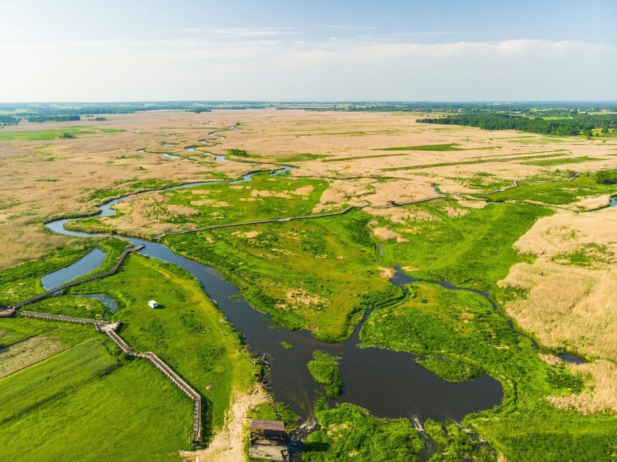 PGE wspiera Magurski Park Narodowy oraz Narwiaski Park Narodowy