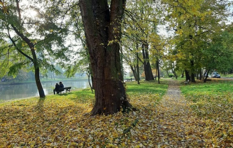 S pienidze na rewaloryzacj parku Belzackiego. Zobacz wizualizacje!