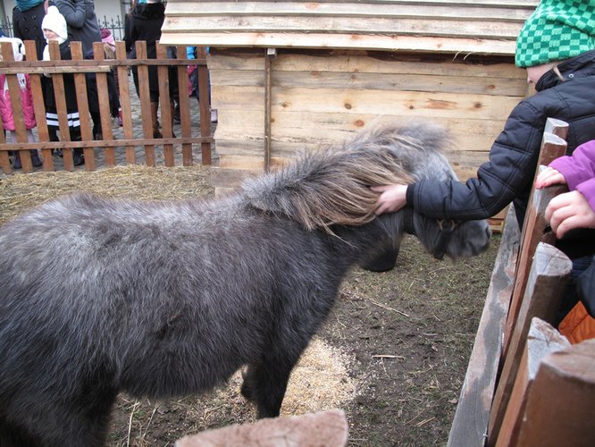 ywa szopka w Piotrkowie