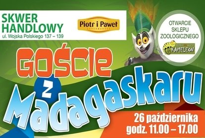 Gocie z Madagaskaru