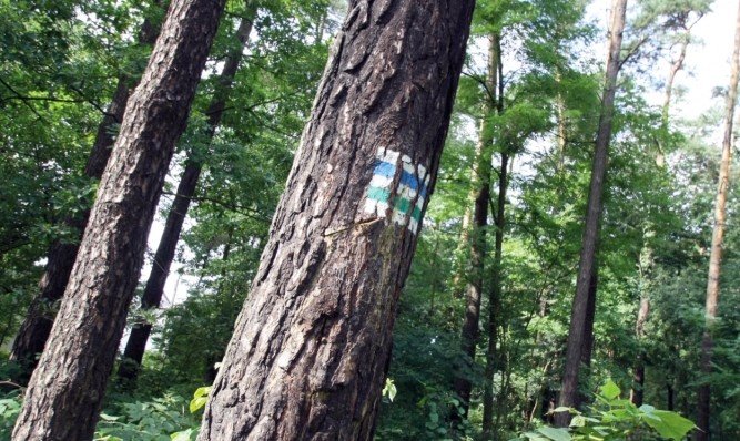 Na wiosenny marsz zapraszaj harcerze i PTTK