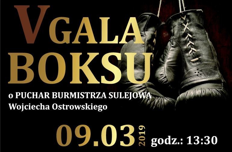 V Gala Boksu w Sulejowie. Powalcz o puchar burmistrza 