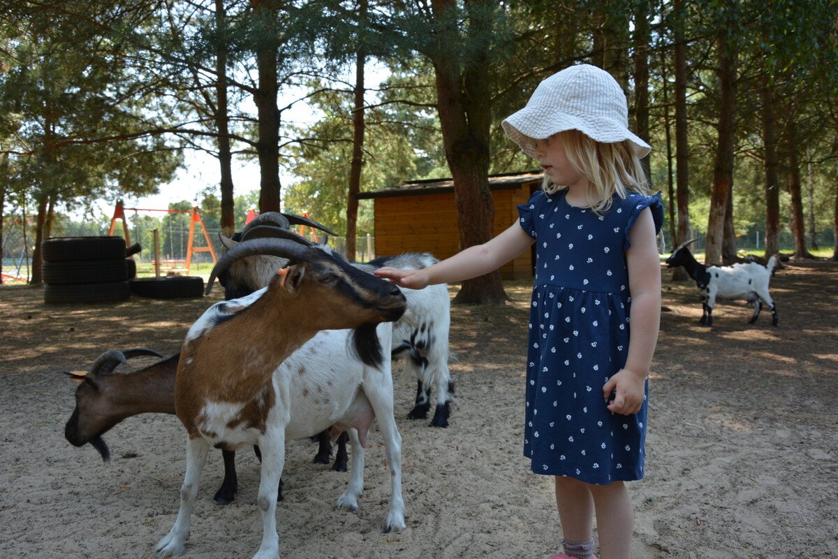 Hubisiwka - niezwyke mini zoo w regionie