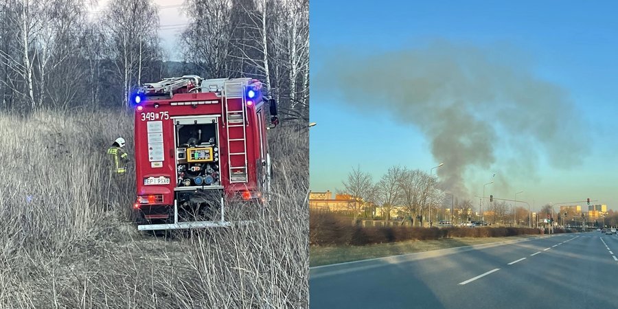 Paliy si torfowiska w Piotrkowie