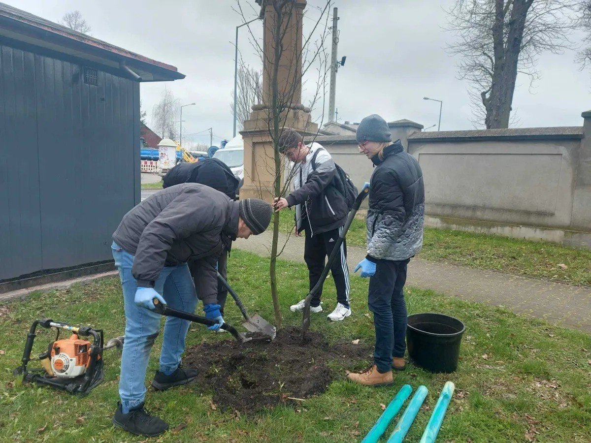 Dziki uczniom skwer bdzie jeszcze bardziej zielony