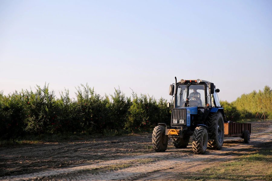 Prowadzi traktor na 