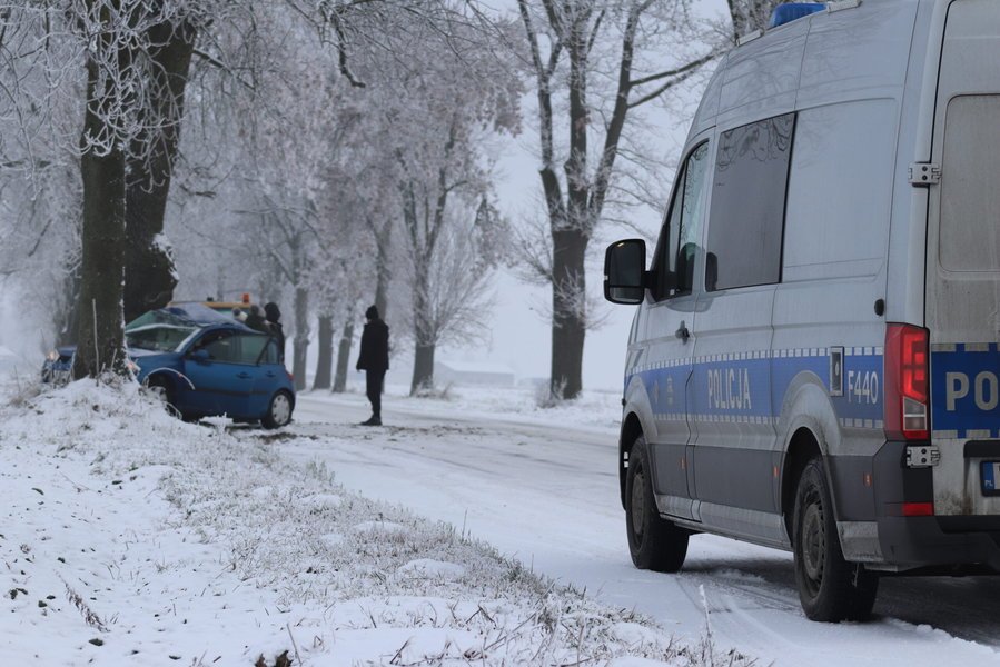 Po uderzeniu w drzewo trafi do szpitala