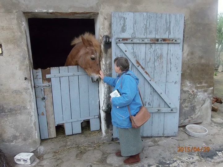 Schronisko wykupio konia od bezdusznego waciciela