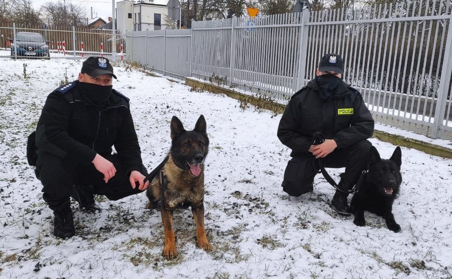 Czworononi funkcjonariusze w subie piotrkowskiej komendy