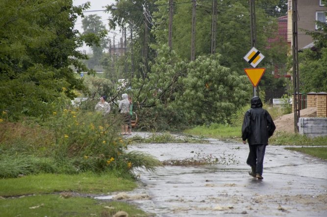 Nawanica nad Piotrkowem Trybunalskim