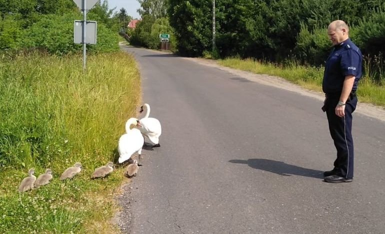 Policja na ratunek rodzinie… abdzi