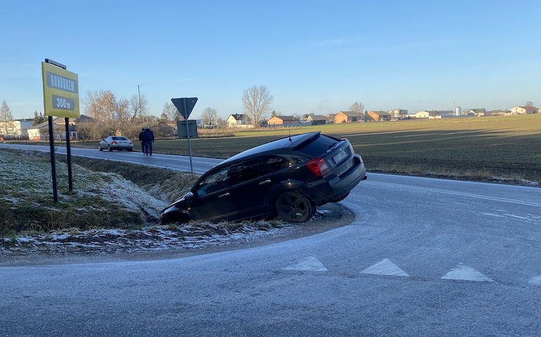 liska droga w pobliu Mynar